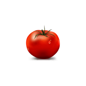 FreshTomato